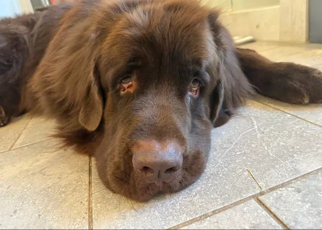 Pet Wants Cleveland — customer photo 9