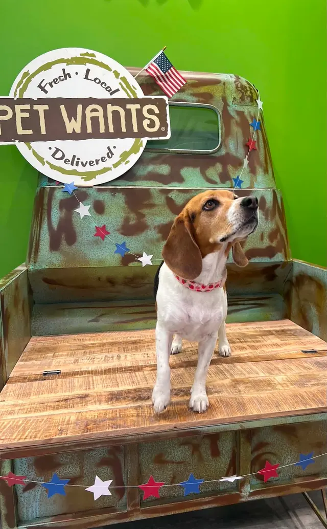 Pet Wants Cleveland — photo from the business 3