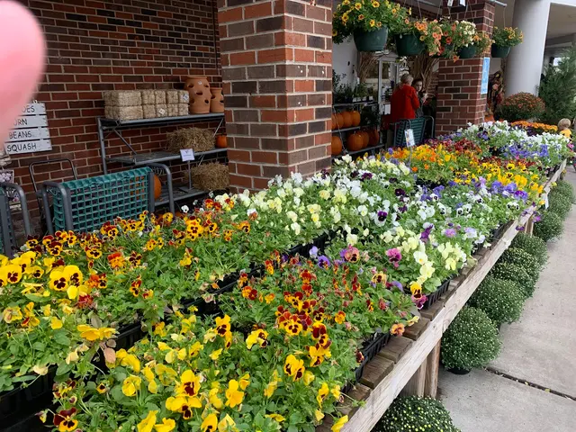 Elder's Ace Hardware - Cleveland — customer photo 4