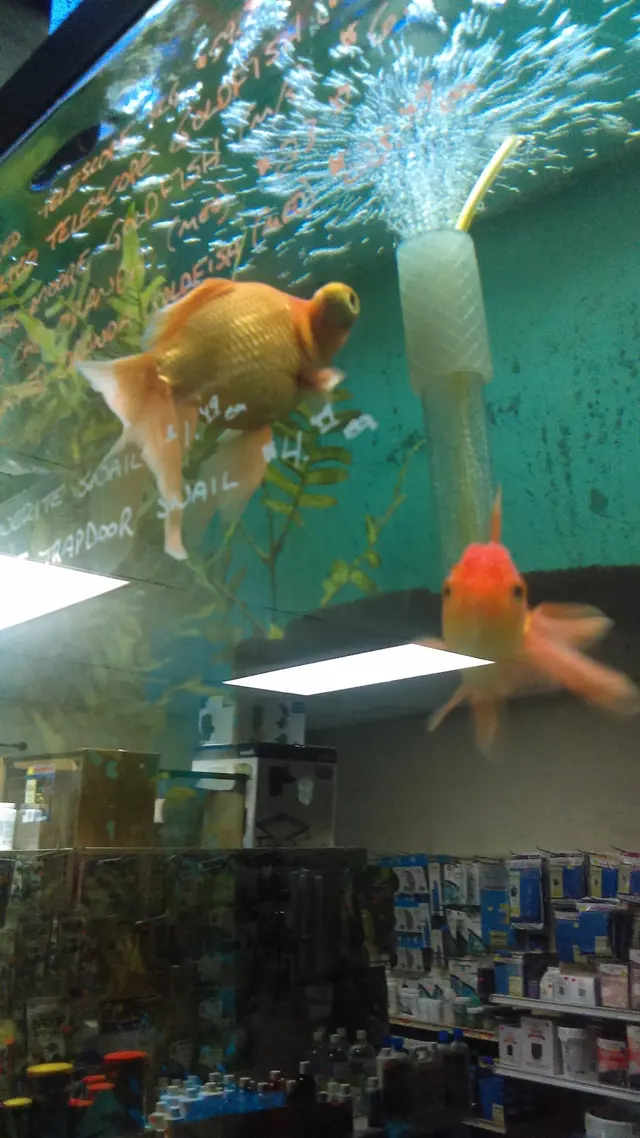 The Aquatic Den — customer photo 12