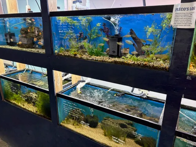 The Aquatic Den — customer photo 3