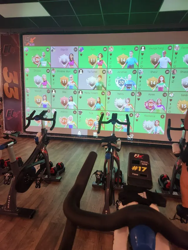 FLX33 "More Than a Gym" — customer photo 12