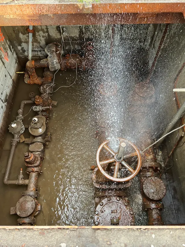 Certified Fire — photo from the business 9