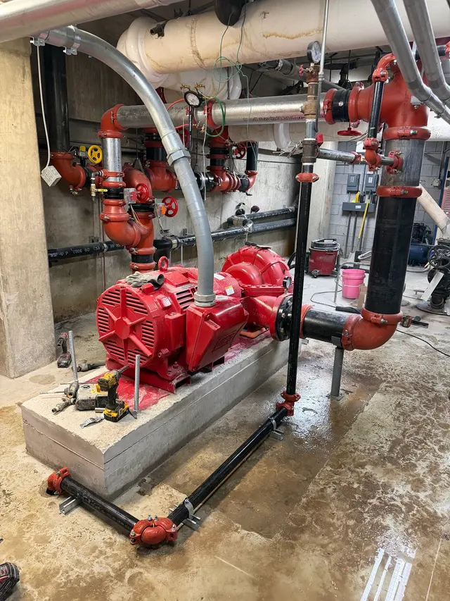 Certified Fire — photo from the business 2