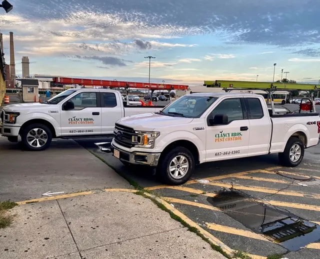Clancy Brothers Pest Control — photo from the business 11