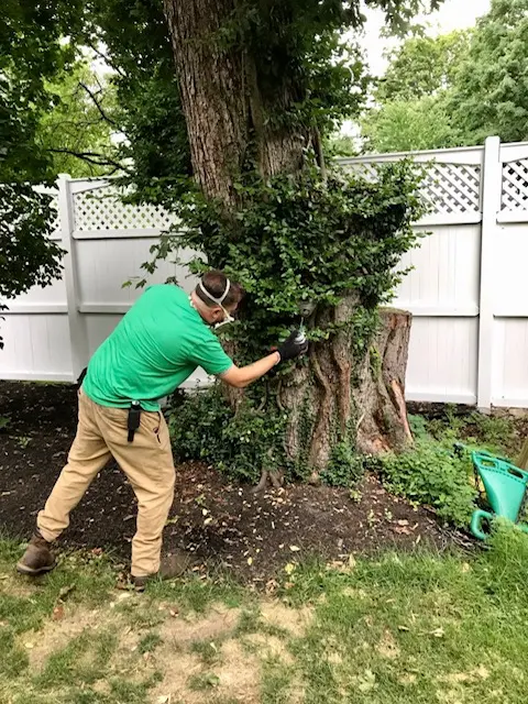 Clancy Brothers Pest Control — photo from the business 7