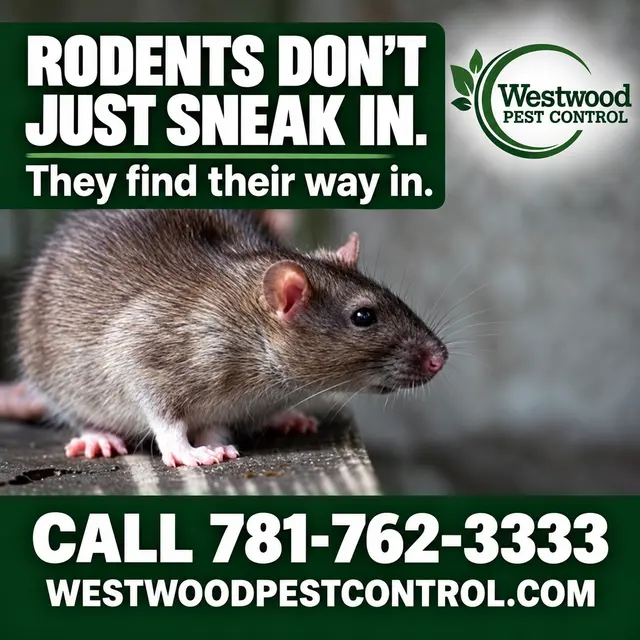 Westwood Pest Control — photo from the business 5