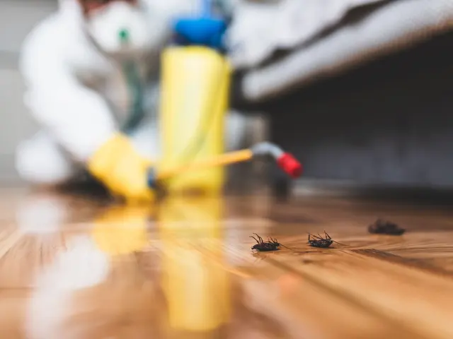Westwood Pest Control — photo from the business 11