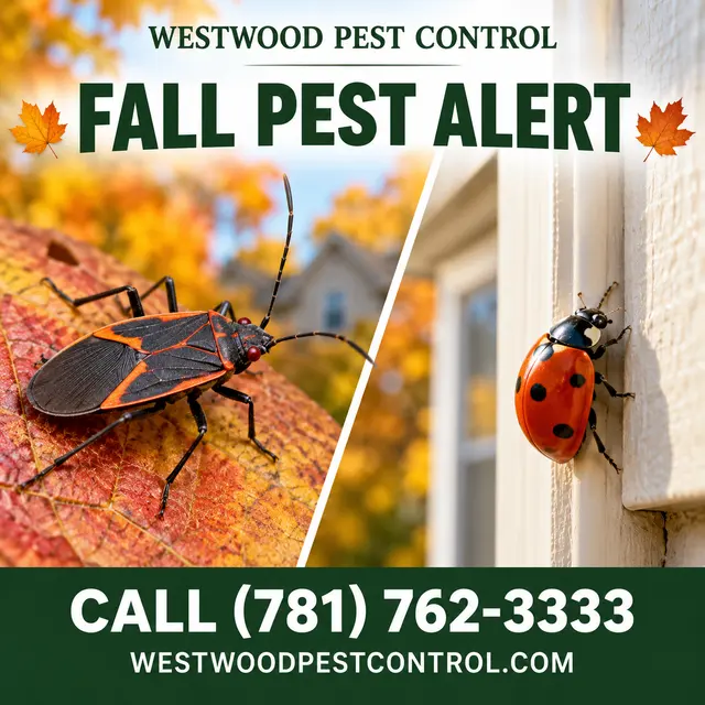 Westwood Pest Control — photo from the business 2