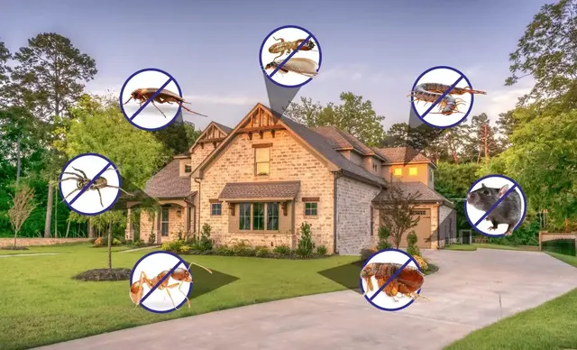 Westwood Pest Control — photo from the business 10