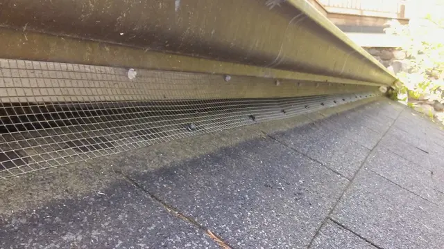 Critter Control of Greater Boston — photo from the business 10
