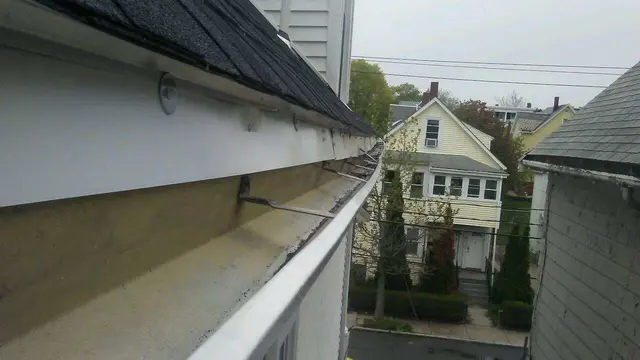 Critter Control of Greater Boston — photo from the business 7