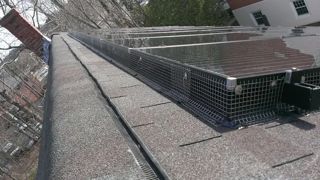 Critter Control of Greater Boston — photo from the business 3