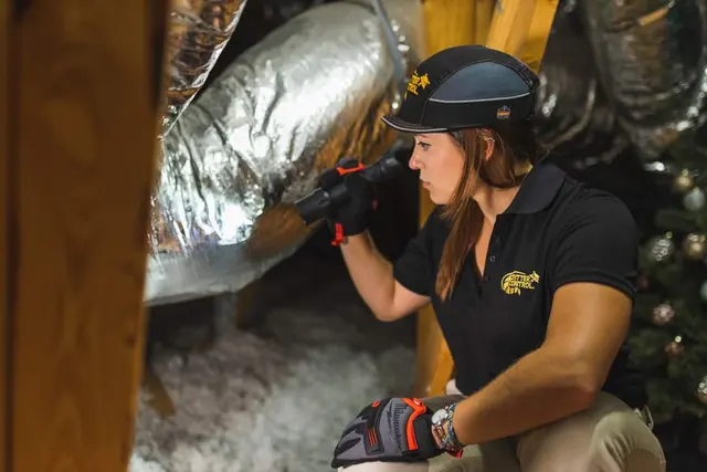 Critter Control of Greater Boston — photo from the business 1