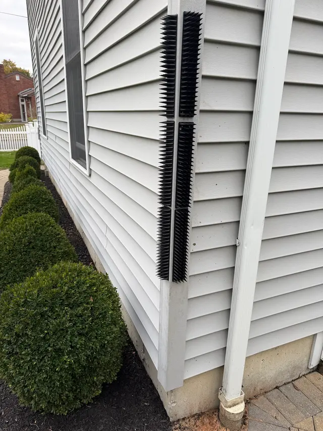 Critter Control of Greater Boston — customer photo 11