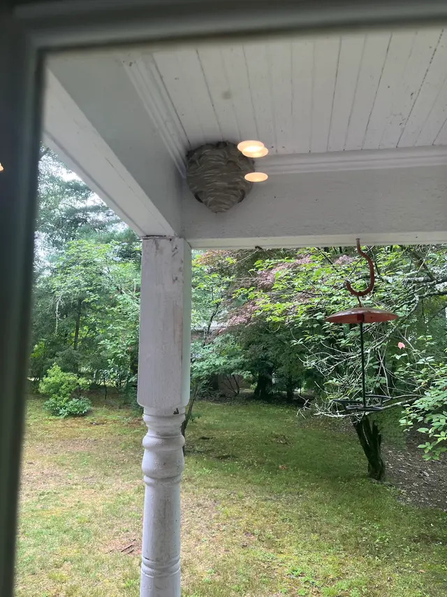 Pest Assassins — customer photo 12