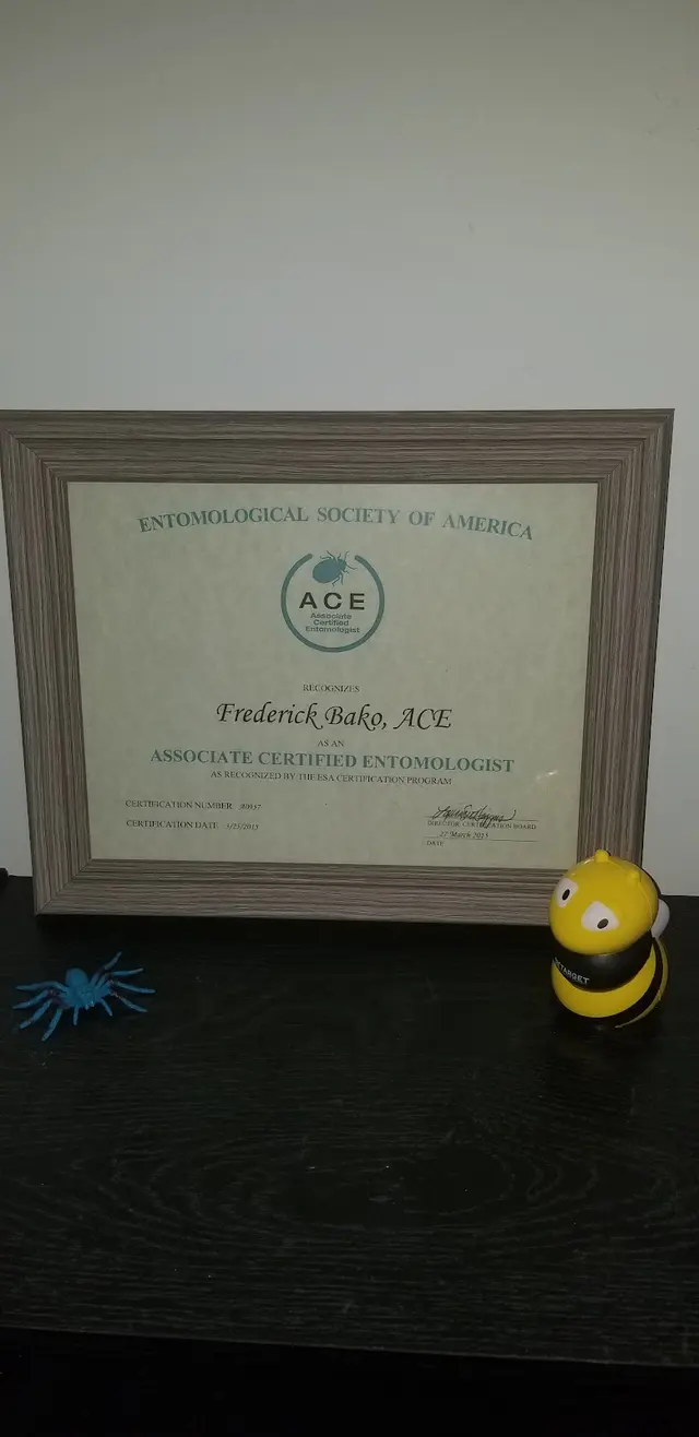 Assurance Pest Solutions — customer photo 4