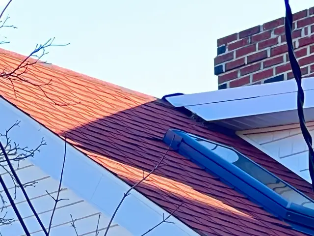 Assurance Pest Solutions — customer photo 5