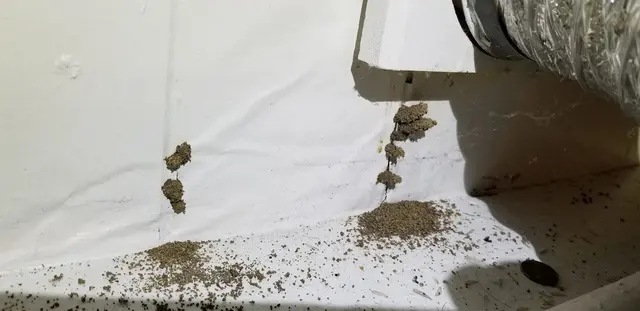 Assurance Pest Solutions — customer photo 7