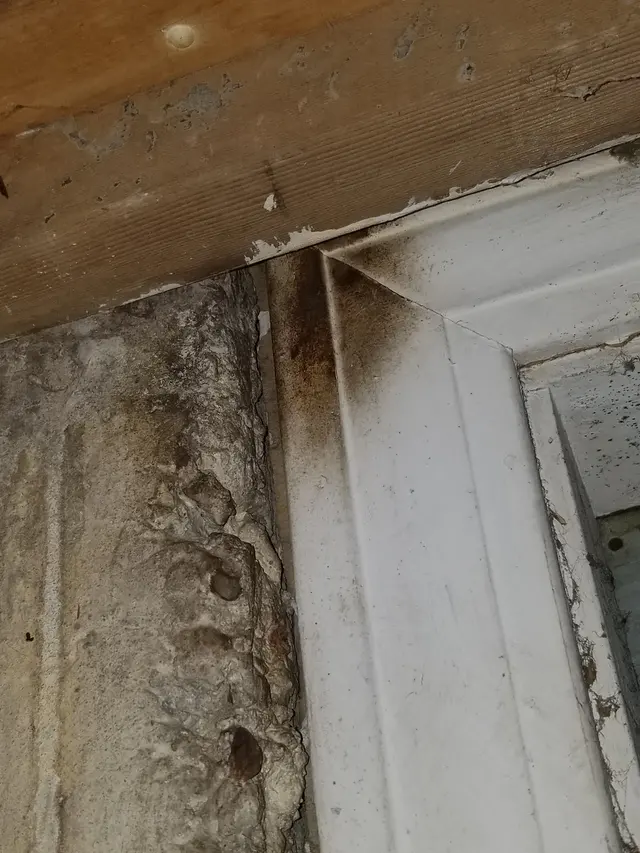 Assurance Pest Solutions — customer photo 8