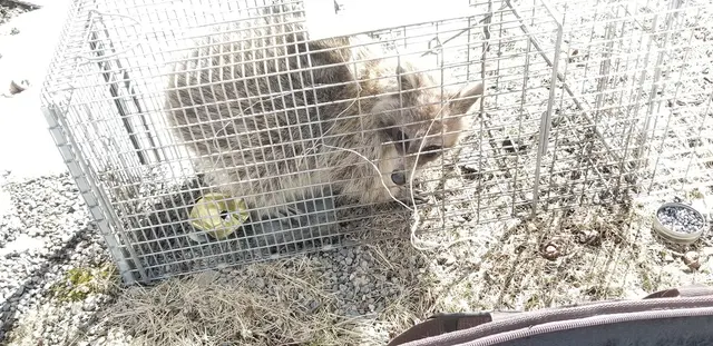 Assurance Pest Solutions — customer photo 6