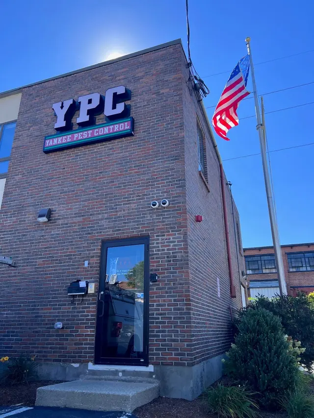 Yankee Pest Control — photo from the business 3