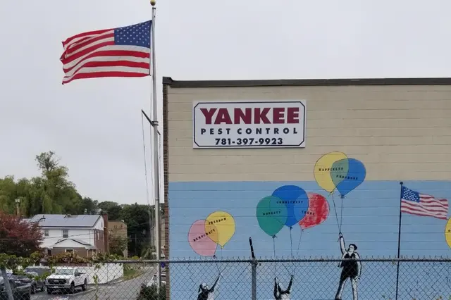 Yankee Pest Control — photo from the business 5