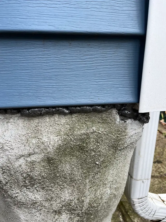 Yankee Pest Control — customer photo 12