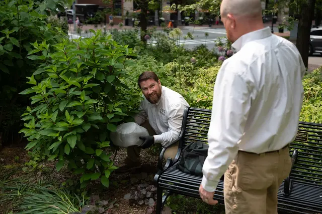 Yankee Pest Control — photo from the business 7