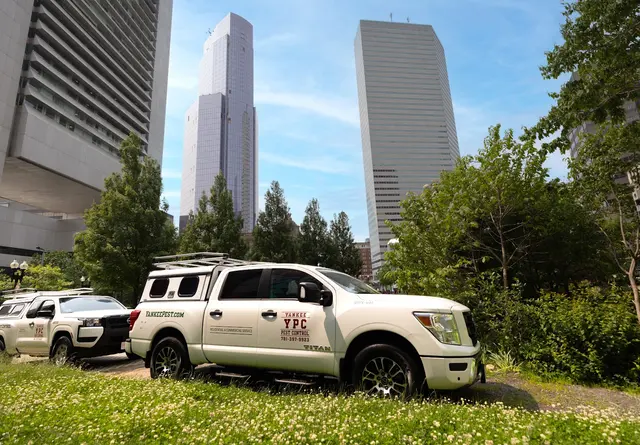 Yankee Pest Control — photo from the business 2