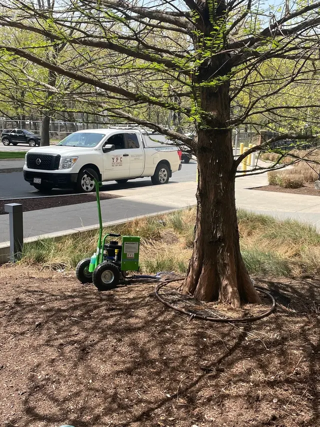 Yankee Pest Control — photo from the business 6