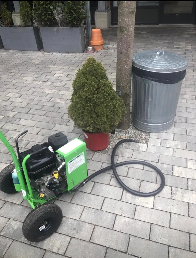 Yankee Pest Control — photo from the business 8