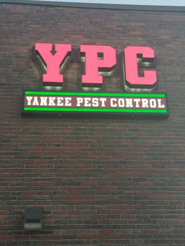Yankee Pest Control — photo from the business 9
