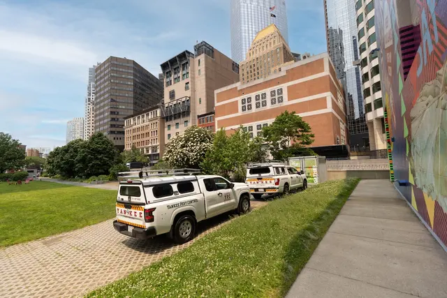 Yankee Pest Control — photo from the business 4