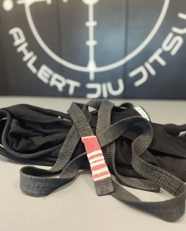 Ahlert Jiu Jitsu — photo from the business 11