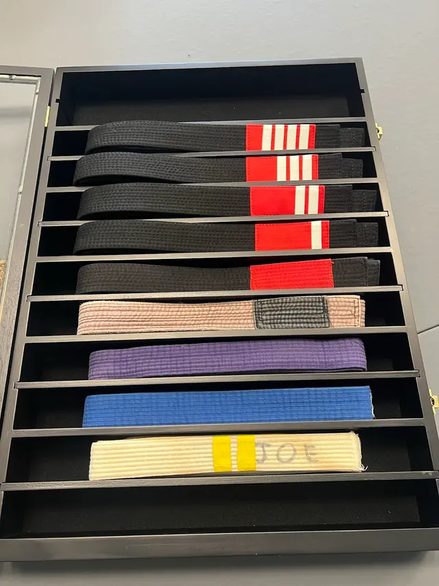 Ahlert Jiu Jitsu — photo from the business 6