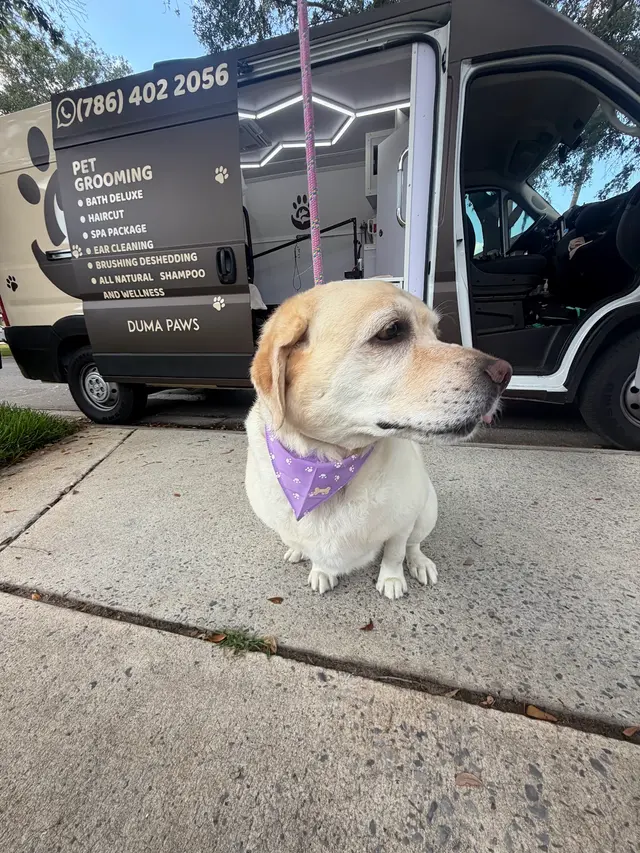 Duma Paws Mobile Pet Grooming — photo from the business 6