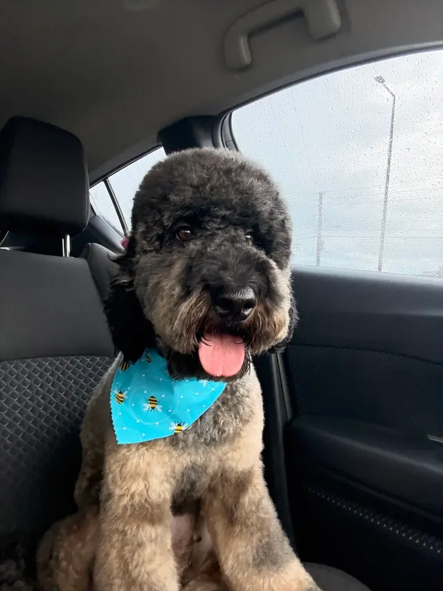 Customer photo from Yansly's review