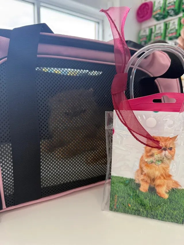 Customer photo from Diana's review