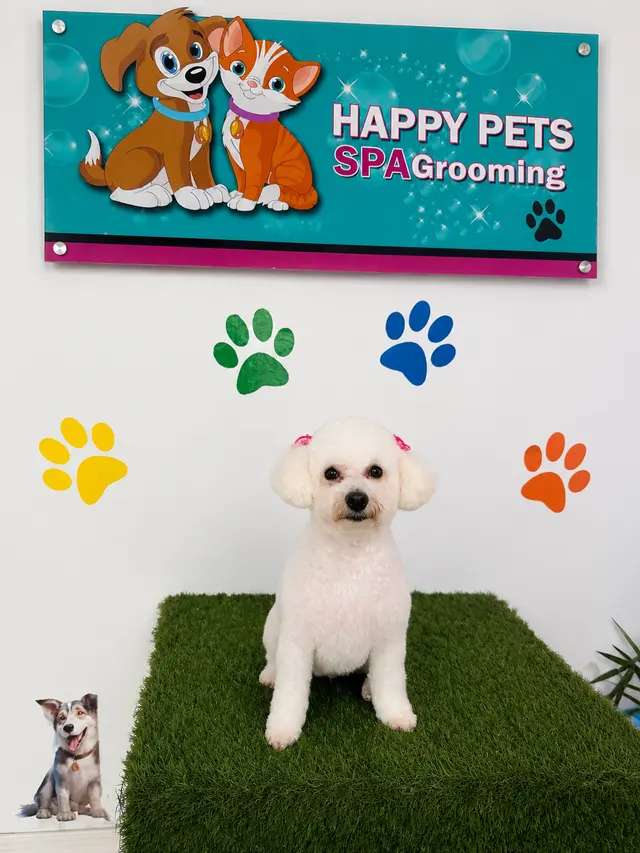 Happy Pets Spa — photo from the business 2