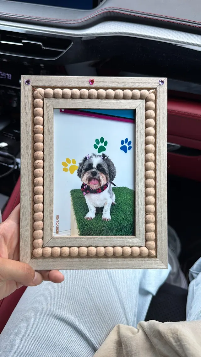 Customer photo of work by Happy Pets Spa, from Karen Quezada's review