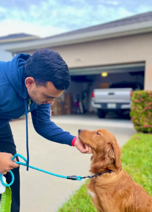 Two Pets Mobile Grooming — photo from the business 3