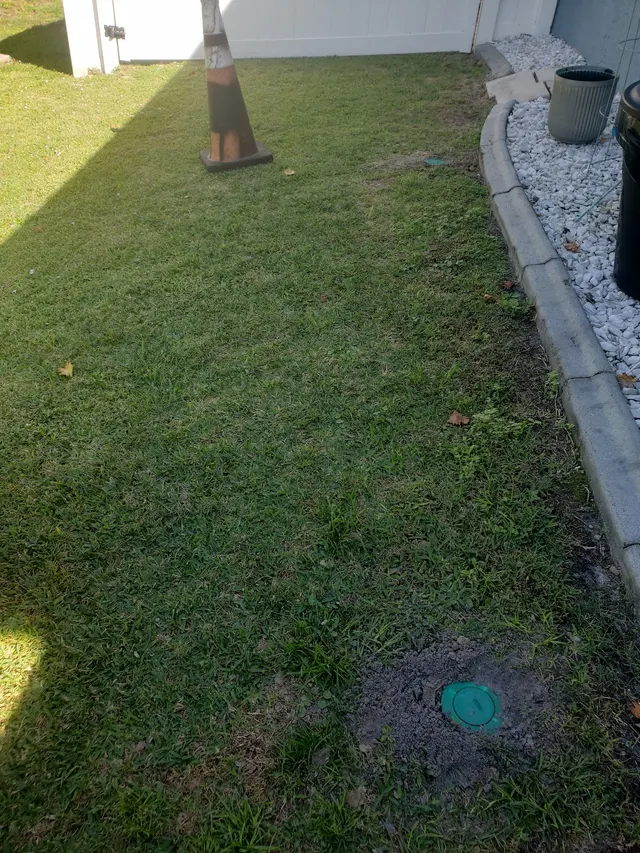 All U Need Pest Control — customer photo 11