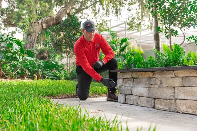 All U Need Pest Control — photo from the business 3