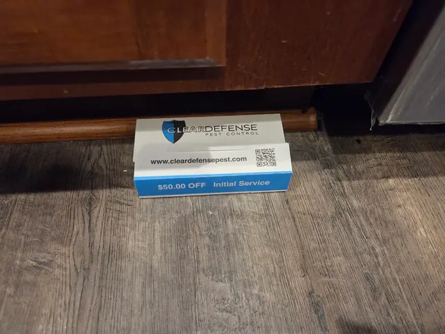 ClearDefense Pest Control — customer photo 10