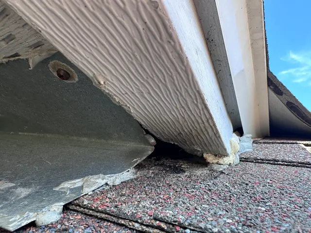 Coastal Wildlife & Pest Control Services of Jacksonville FL — photo from the business 4