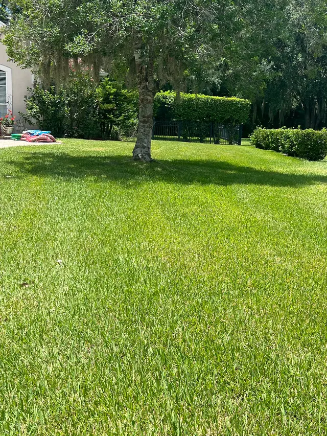 Turner Pest Control — customer photo 4