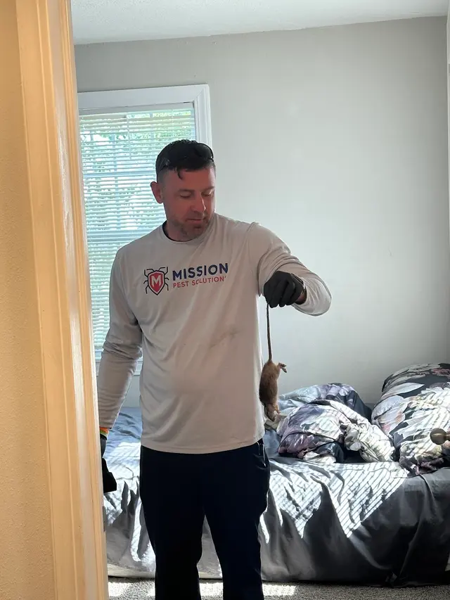 Mission Pest Solutions — customer photo 11