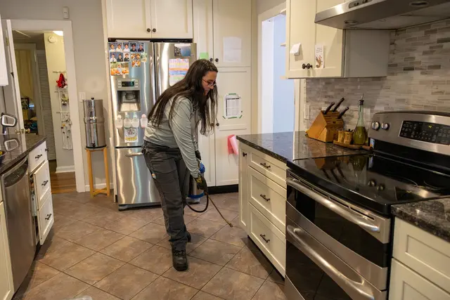 Mission Pest Solutions — photo from the business 4