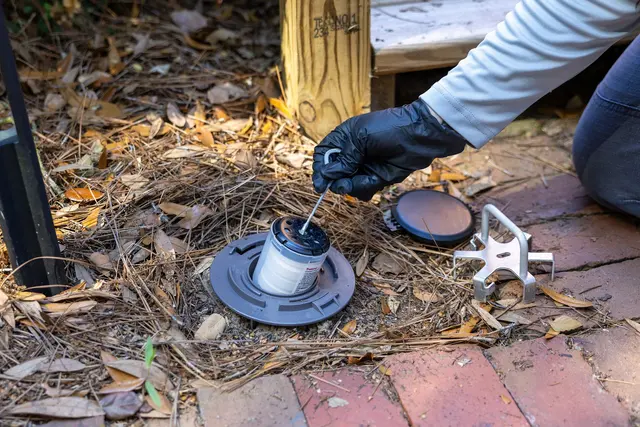 Mission Pest Solutions — photo from the business 5